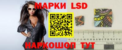 скорость Кингисепп
