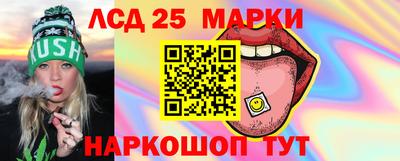 скорость Кингисепп