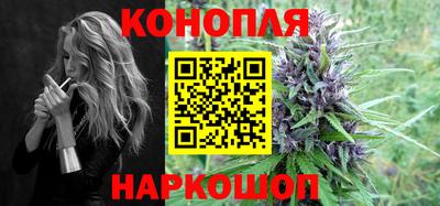 скорость Кингисепп
